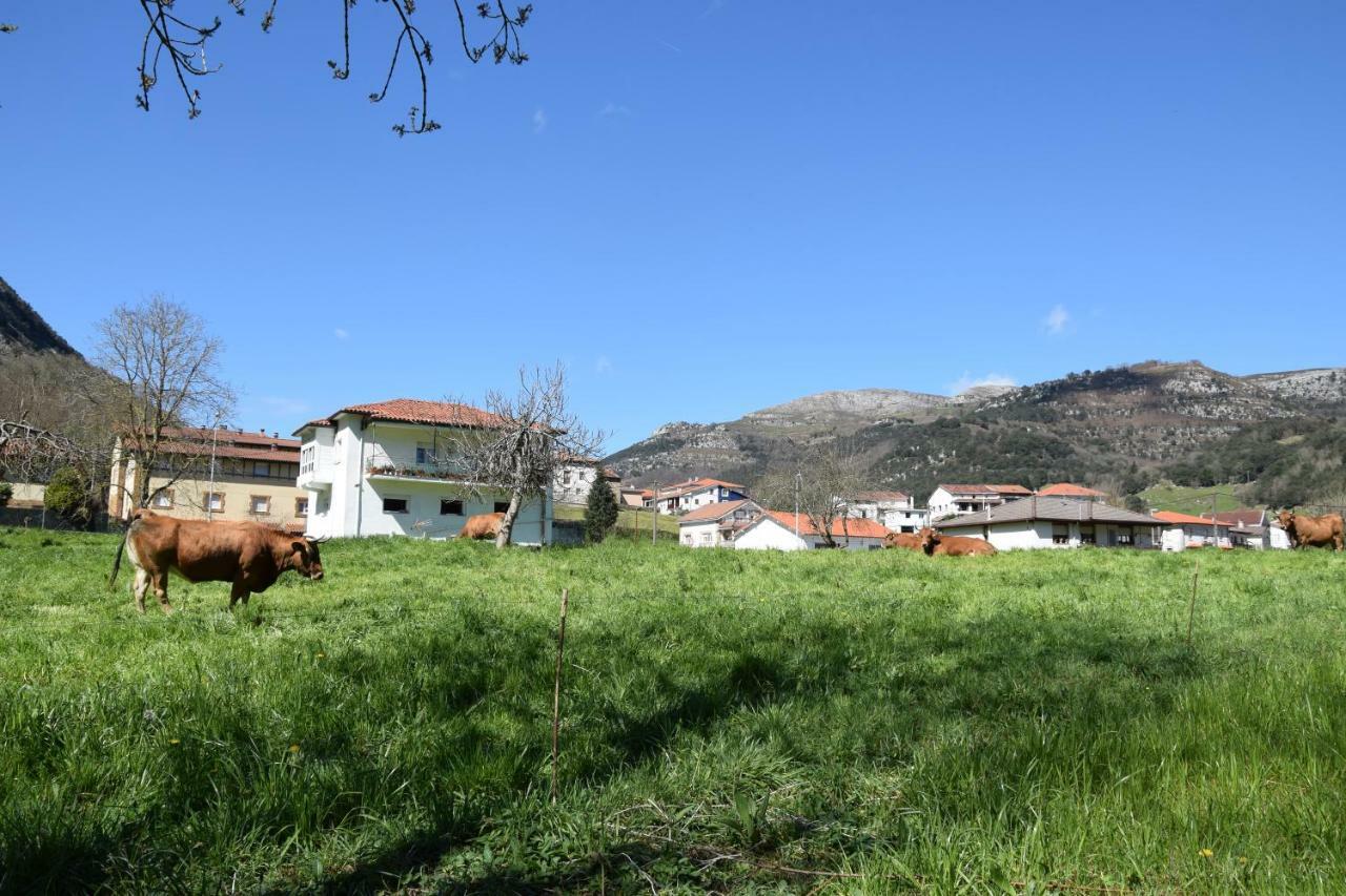 Apartamentos Arredondo Exteriér fotografie